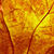 <strong><em>EVENTI IN PROGRAMMA</em></strong><em> ...