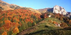 calint_600x600_100KB.jpg